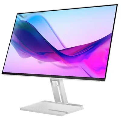 Lenovo L24i-4A 23.8" (67BCKAC6EU) - Cloud Grey