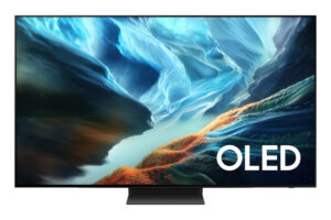 SAMSUNG QE65S90HAEXPY 165(65") სმ/ინჩი OLED
